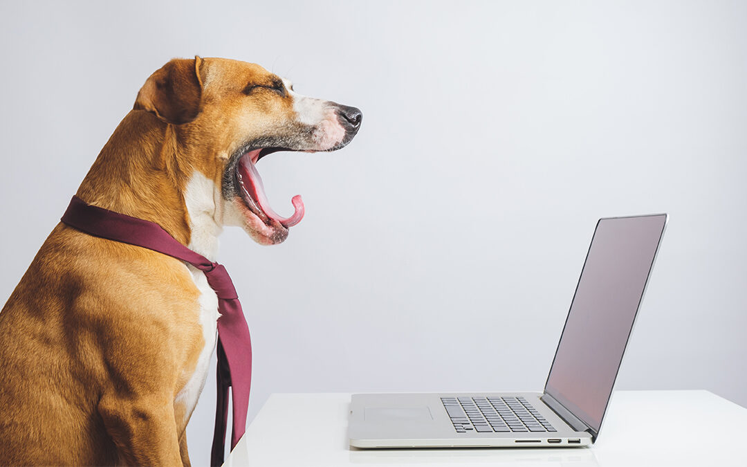 Content Marketing myths